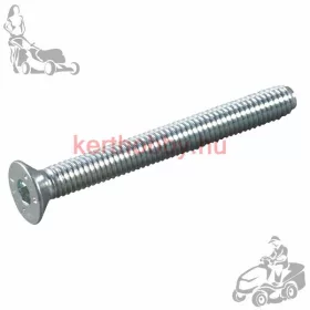 405128 Csavar 6X55 BM5001R
