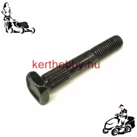 410649 Vezetőlap rögzítő csavar