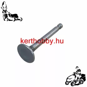 410897 Kipufogó szelep FLA 160