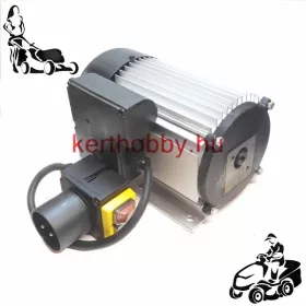 411099 MOTOR LHS 6000S