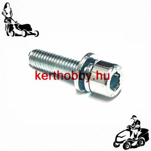 412185 BKNY csavar M6x25