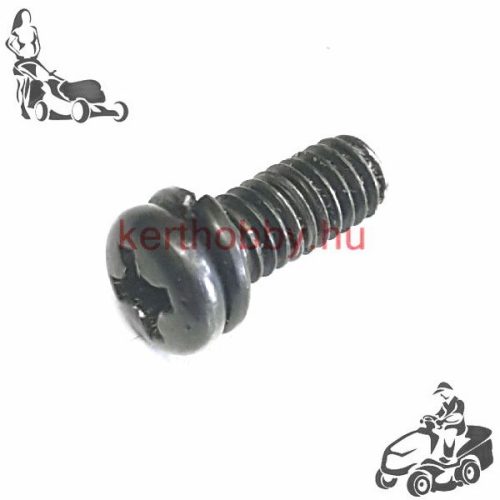 412189 Csavar M4x10 PH1