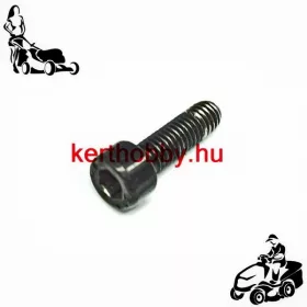 415614 Csavar imbusz 5X16