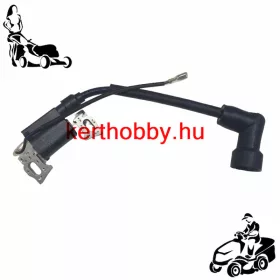 418780 Gyújtótekercs PRO 170 QSS