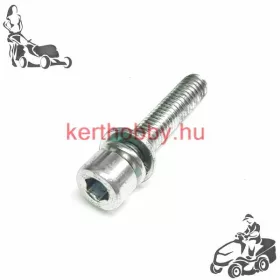 462551 Csavar M5x25