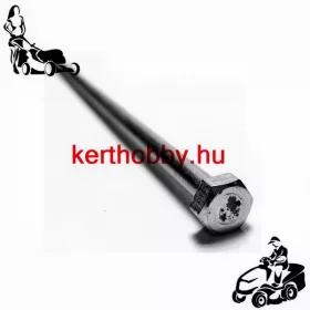 462859 Motorpajzs csavar HW / F 1001