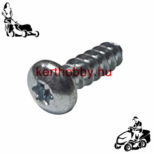 470375 Csavar TORX 60X20 5451