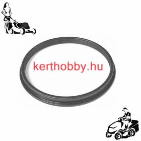 477084 Motortömítés DIVE