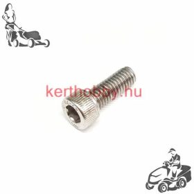 477129 Csavar 6x16 IMB. INOX
