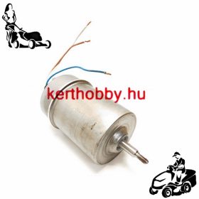 477191 Villanymotor DRAIN 20000 KPL.