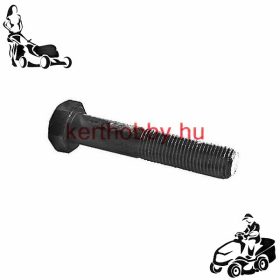 479009 Késrögzítő csavar B