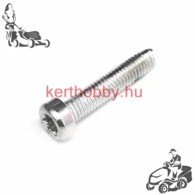 533639 SCHRAUBE TORX 6X25