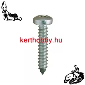 AP190045 D fejű lemezcsavar 4,8x19 PH2 DIN7981