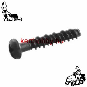 BRST691138 Csavar B&S 691138 - gyári