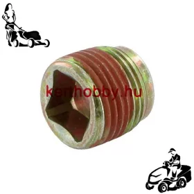 BRST691680 Olajleeresztő záródugó 3/8"