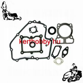 BRST793623 Tömítéskészlet B&S 793623 - gyári DOV series