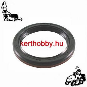 BRST795387 Főtengely szimmering B&S 795387 - eredeti