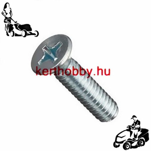 MEAP190232 Süllyesztett fejű csavar M6x30  4.8 DIN 965 PH