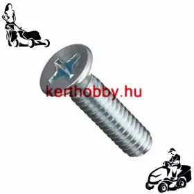 MEAP190235 Süllyesztett fejű csavar M8x25  4.8 DIN 965 PH