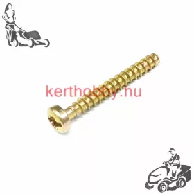 SL0018226 Csavar 5X40KTKX T25 ZN