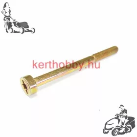 SL0018397 Hengeresfejű csavar TX25 M5X65 10.9 ZN