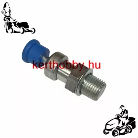 SL2800570 Dekompressziós szelep. 5N D1,0 KARCOMA 53.412-129
