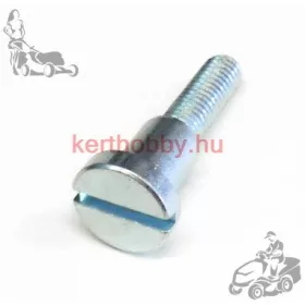 SL6032639 Hengercsavar M5X20,7X9,3 644,651,656