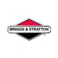 Briggs&Stratton