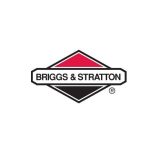 Briggs&Stratton utángyártott porlasztók 